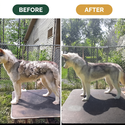 The Fur Stops Here With The AllGroom System